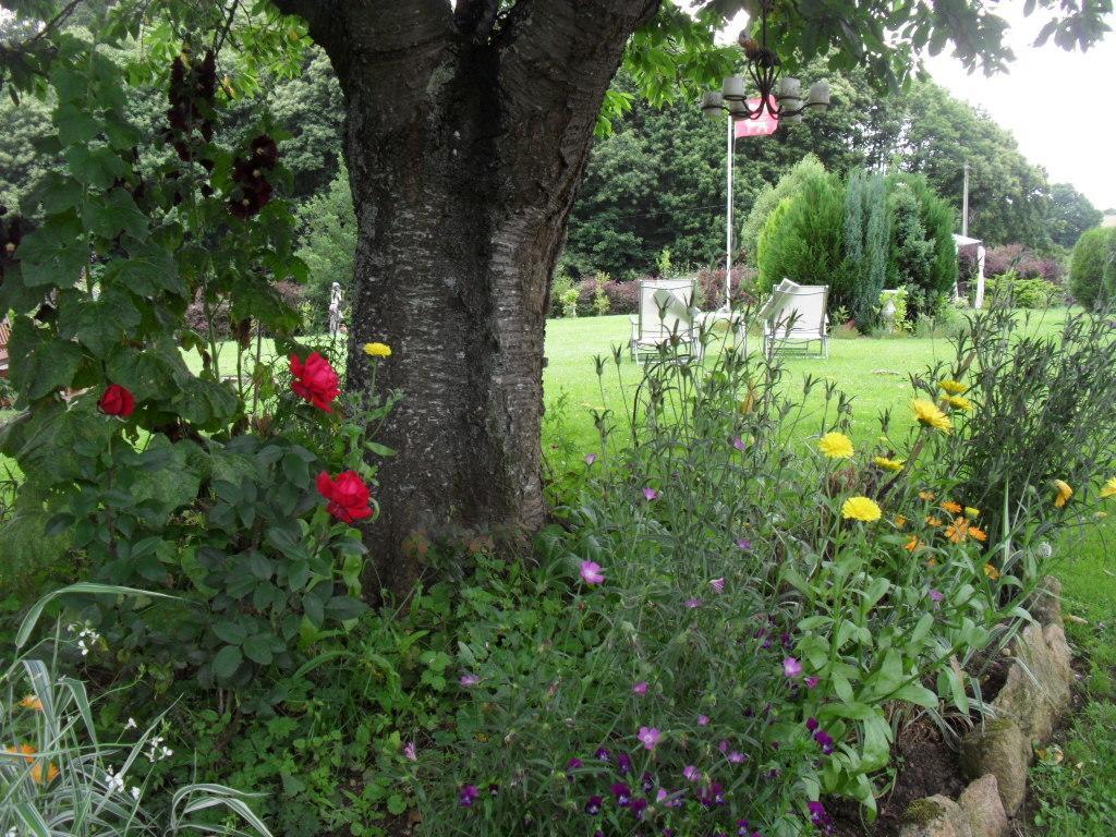 La Chevallerie B&B Isigny-le-Buat Exterior photo