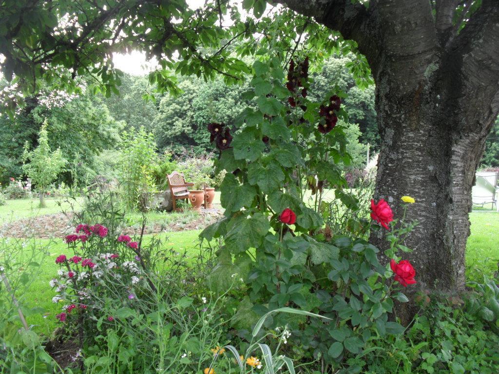 La Chevallerie B&B Isigny-le-Buat Exterior photo