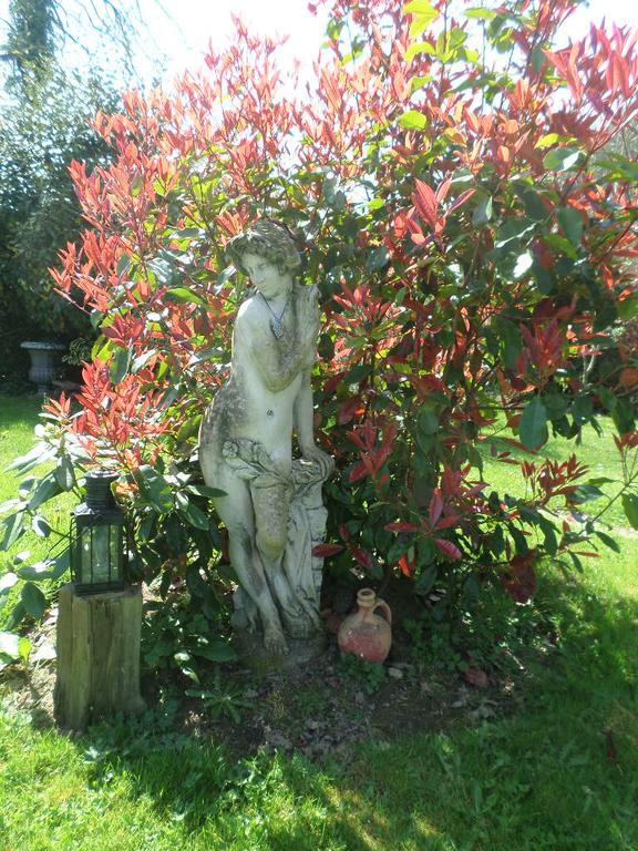 La Chevallerie B&B Isigny-le-Buat Exterior photo